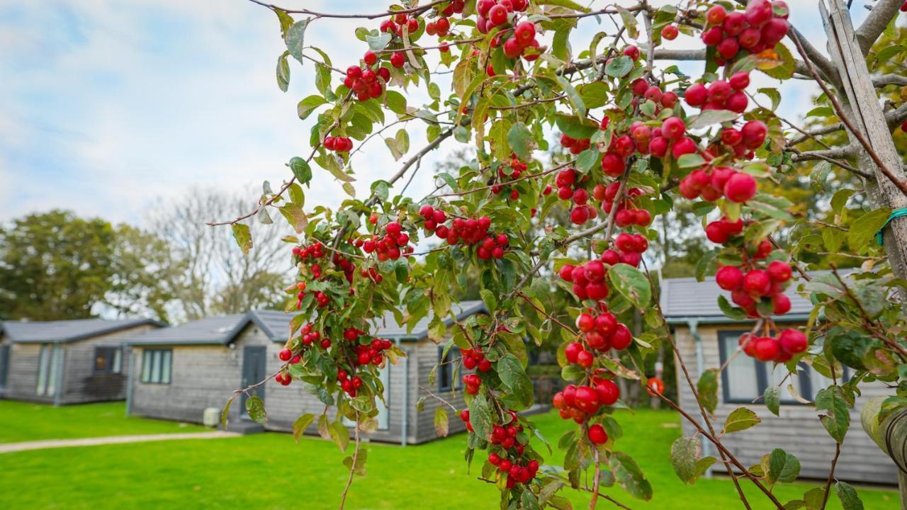 Hotel Warrenwood Country Park Polegate Zewnętrze zdjęcie